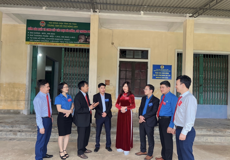 Công đoàn cơ sở Hội Nông dân tỉnh sôi nổỉ thi đua hướng đến chào mừng Đại hội Công đoàn các cấp nhiệm kỳ 2023 - 2028